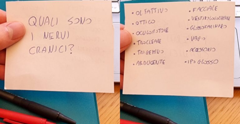 le flashcards