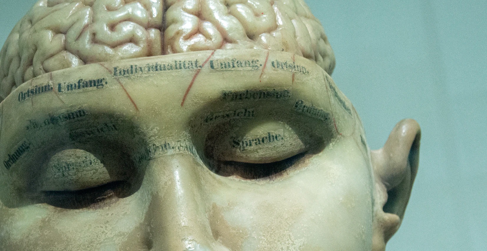 migliorare la memoria